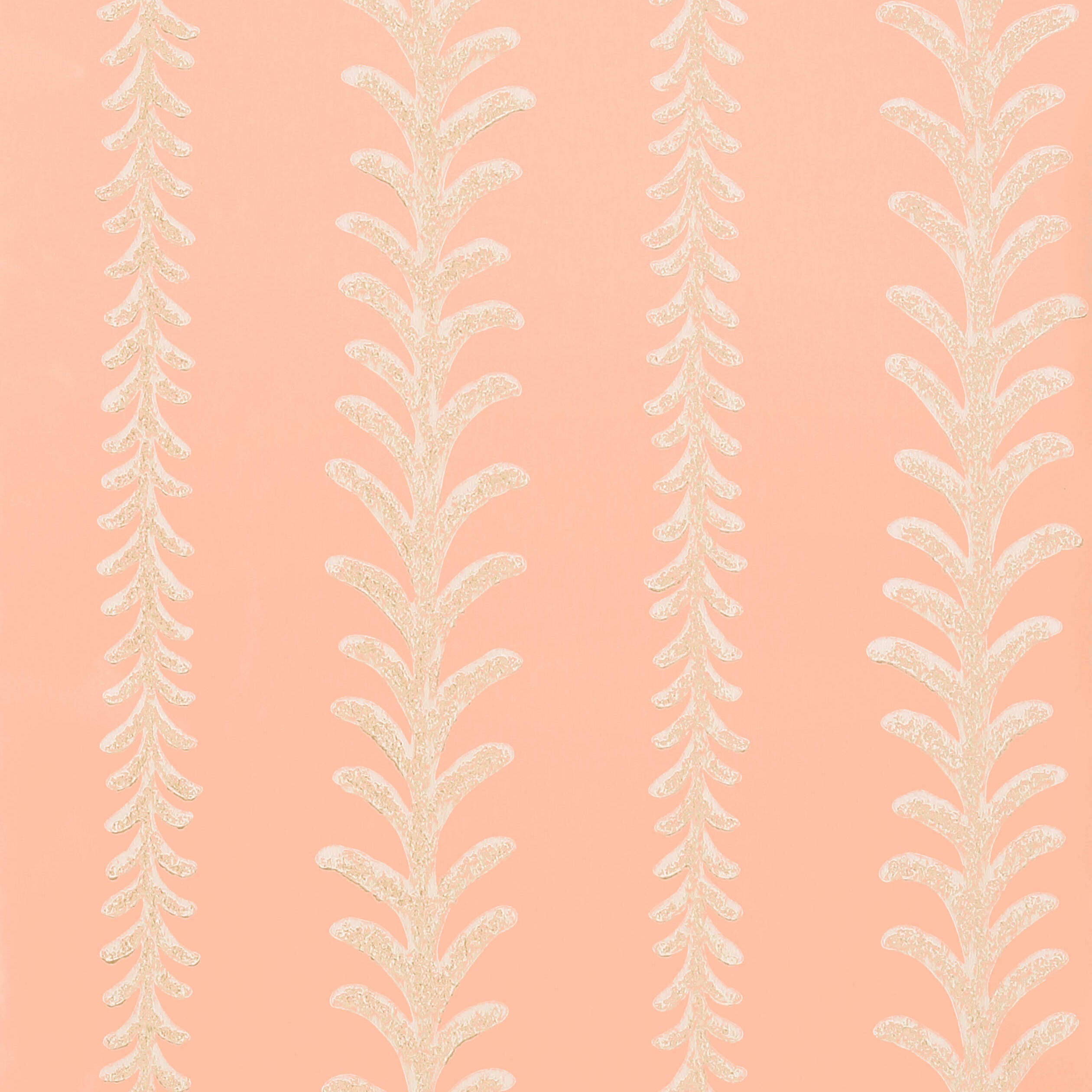 CANTAL - Pink