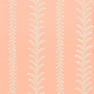 CANTAL - Pink