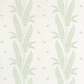 ENSBURY FERN - Green