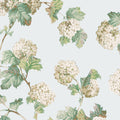 SUSSEX HYDRANGEA - Soft Blue