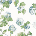 SUSSEX HYDRANGEA - Blue and Green