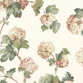 SUSSEX HYDRANGEA - Soft Gold