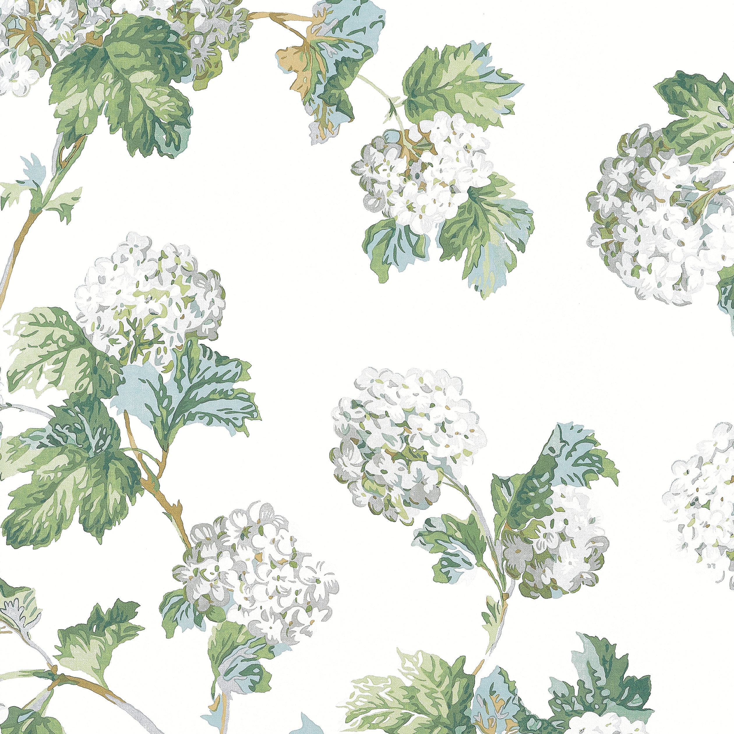 SUSSEX HYDRANGEA - White and Green
