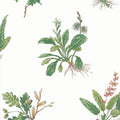 WOODLAND - Green and Blush