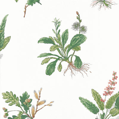 WOODLAND - Green and Blush