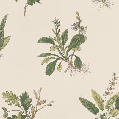 WOODLAND - Green on Natural