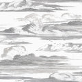 CIELO - Black and White