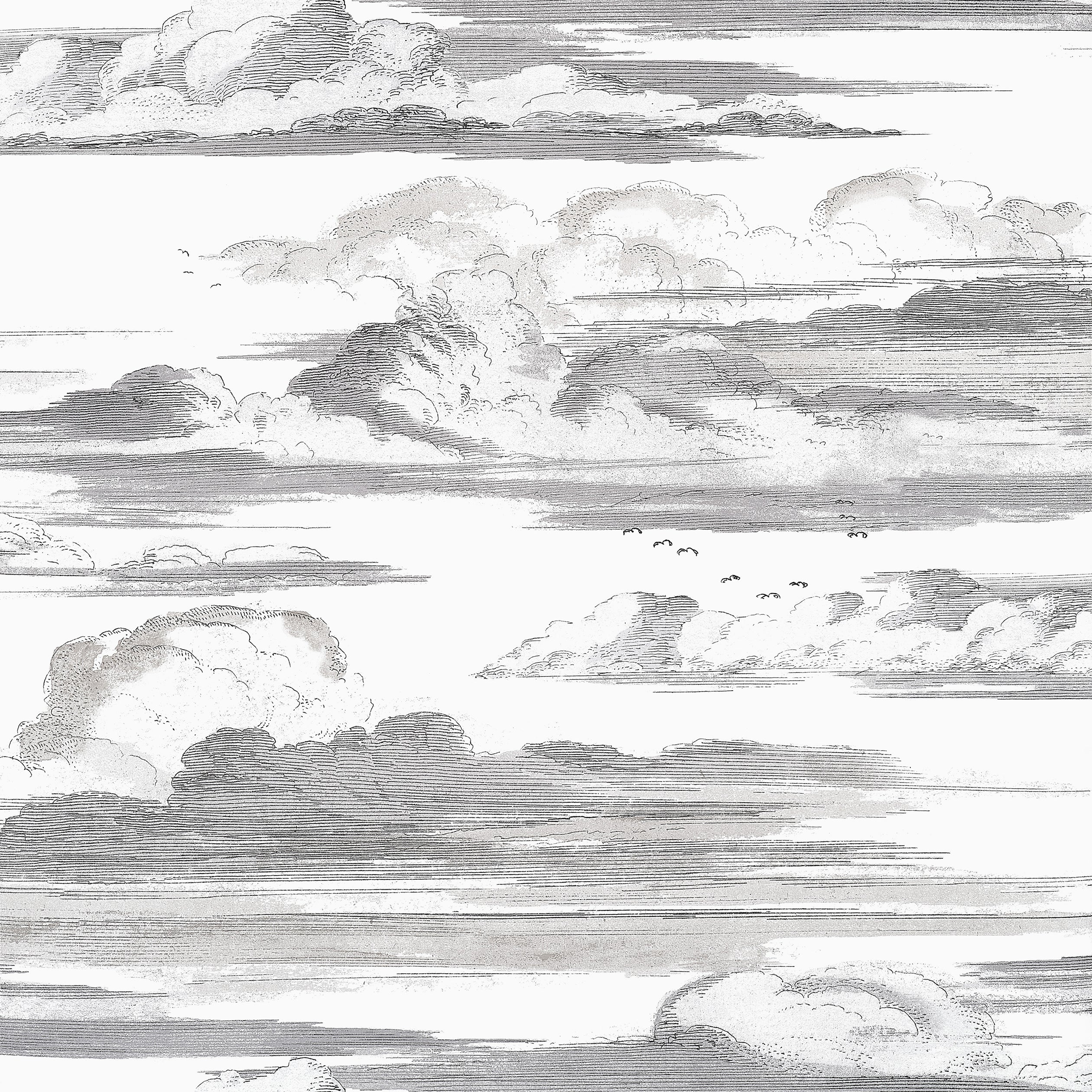 CIELO - Black and White