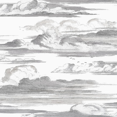 CIELO - Black and White
