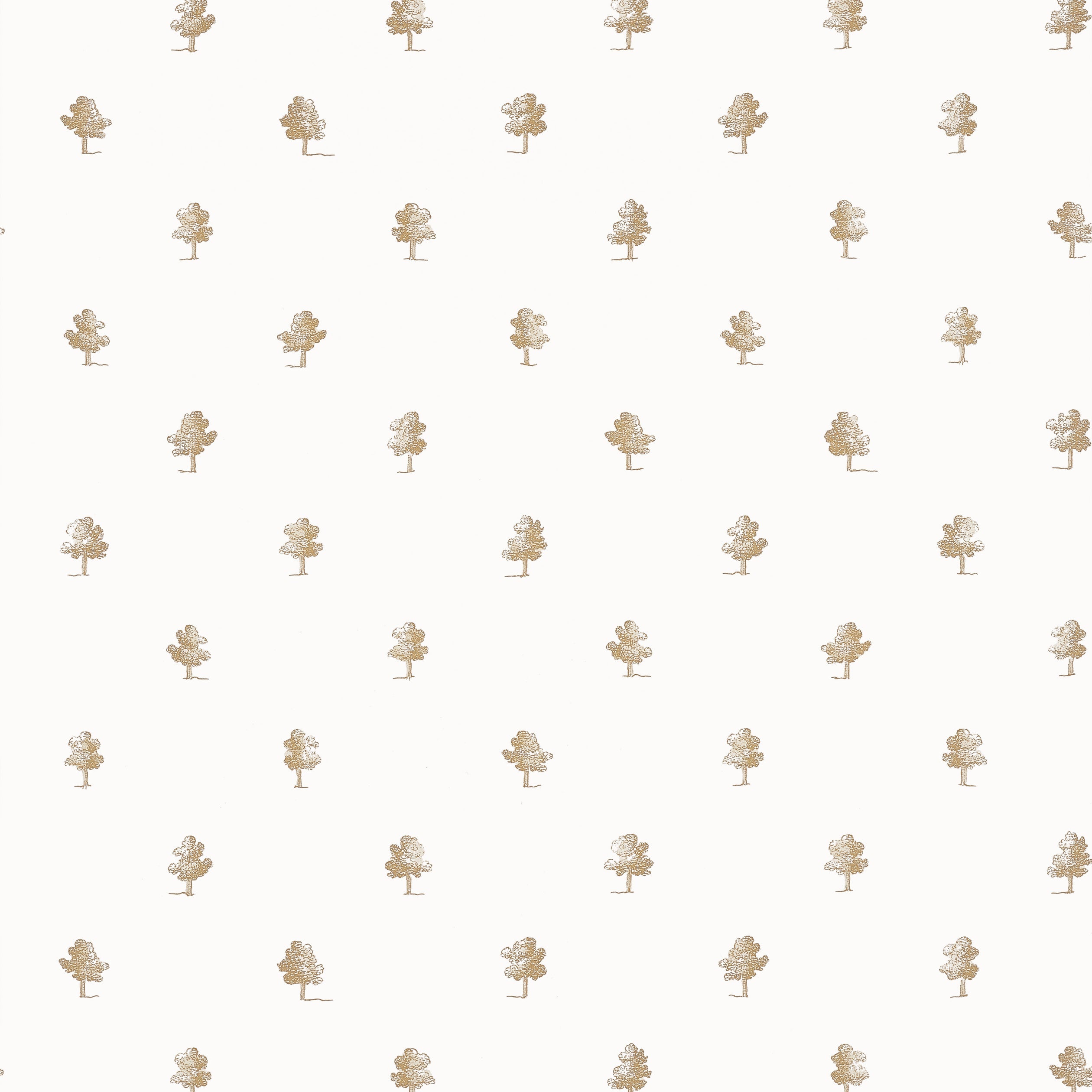 ASHTON - Beige