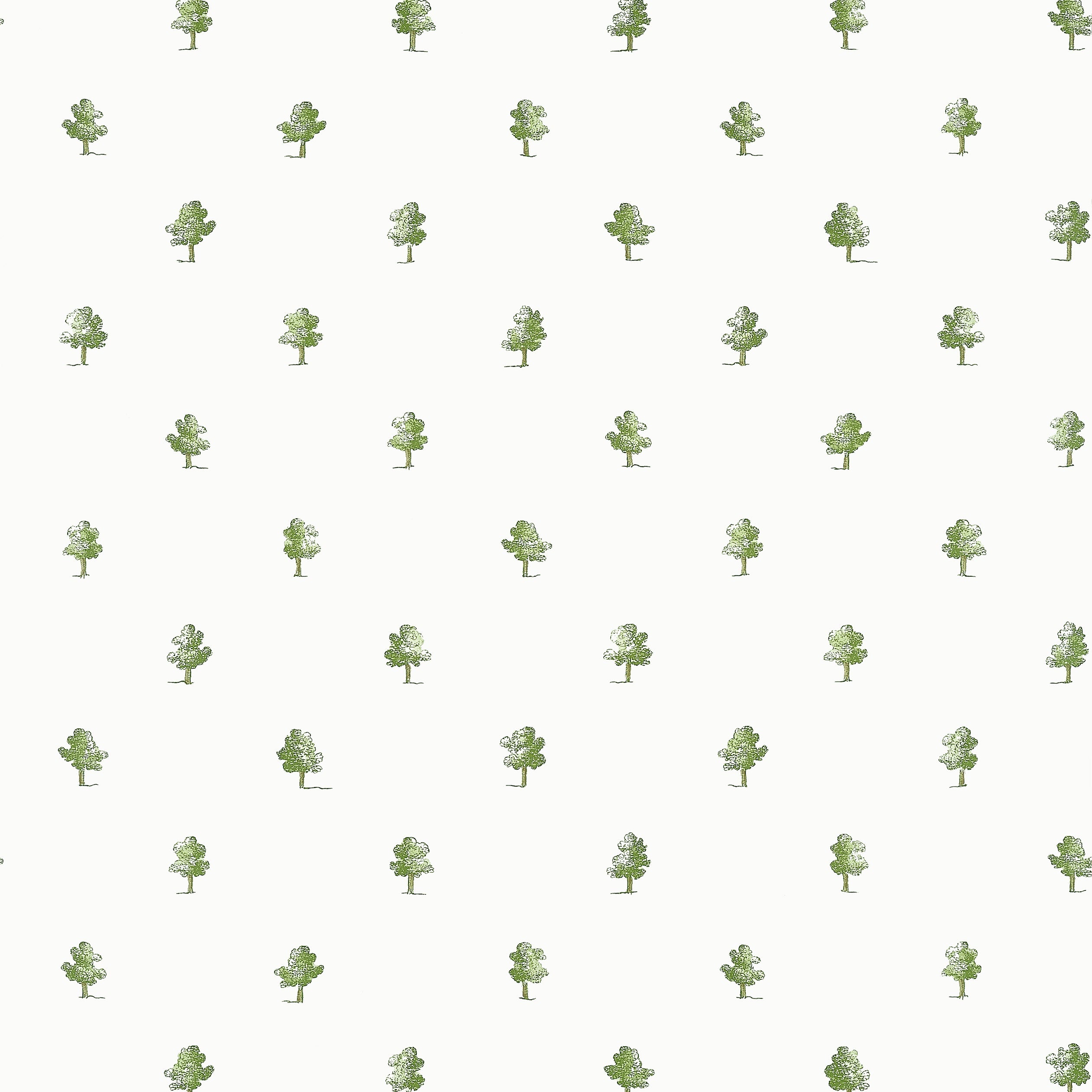 ASHTON - Green