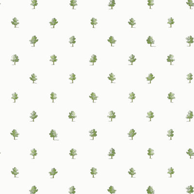 ASHTON - Green
