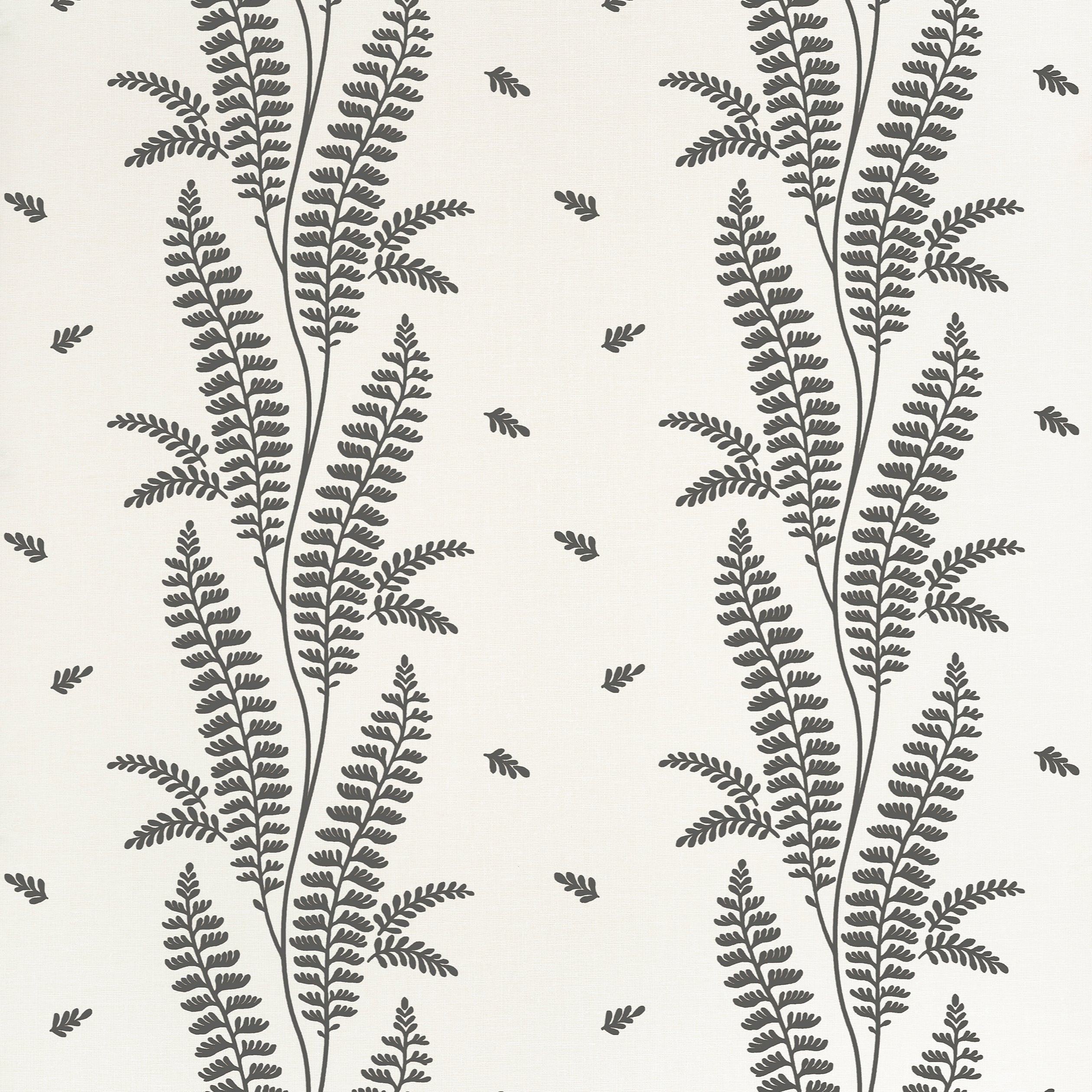 ENSBURY FERN - Black