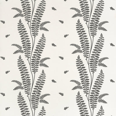 ENSBURY FERN - Black