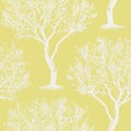 WINFELL FOREST - Citron