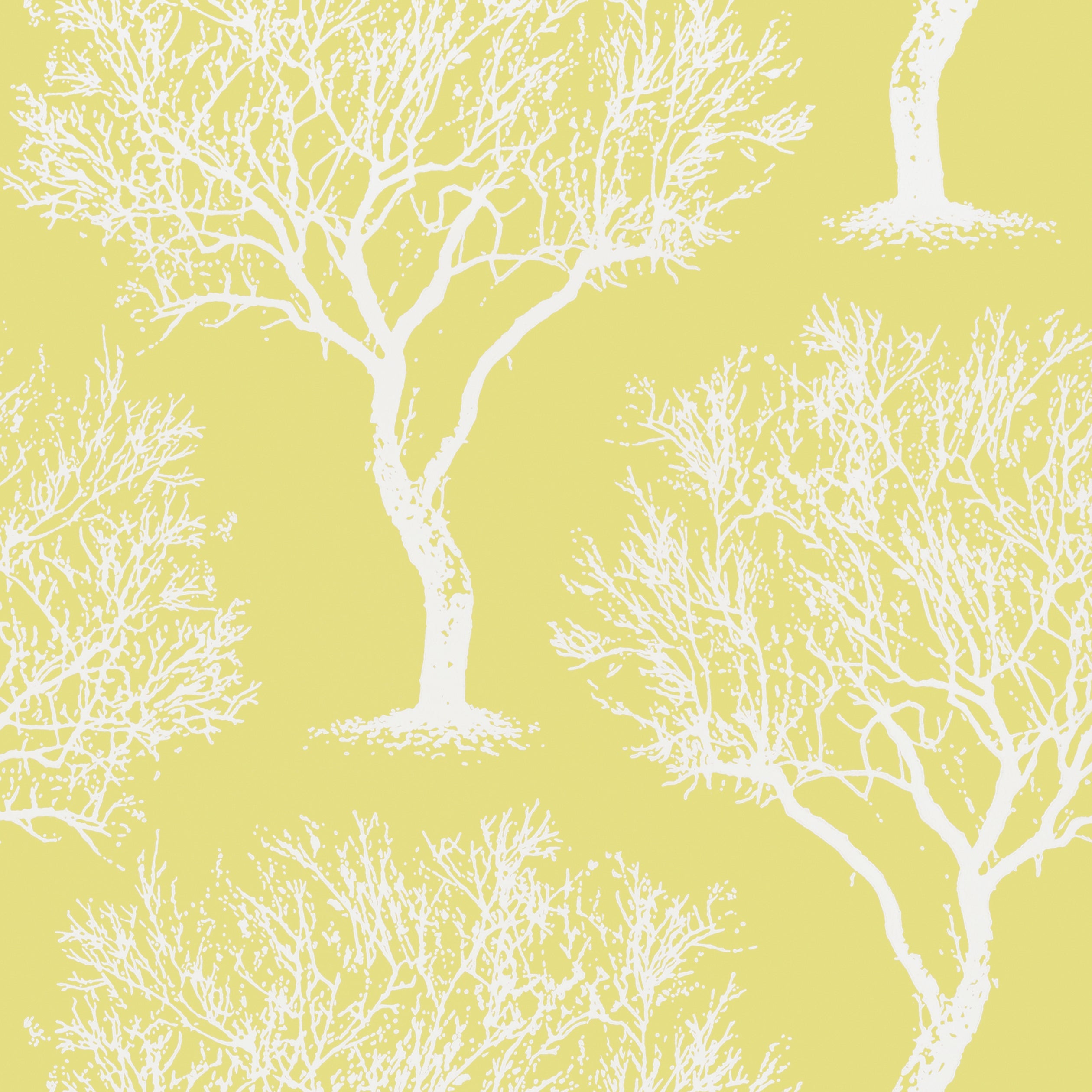 WINFELL FOREST - Citron