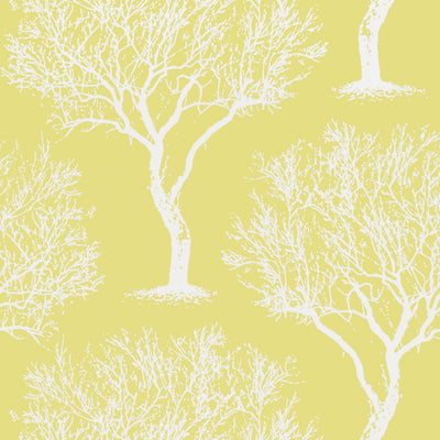 WINFELL FOREST - Citron