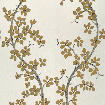 ST. ALBANS GROVE - Metallic Gold on Pearl