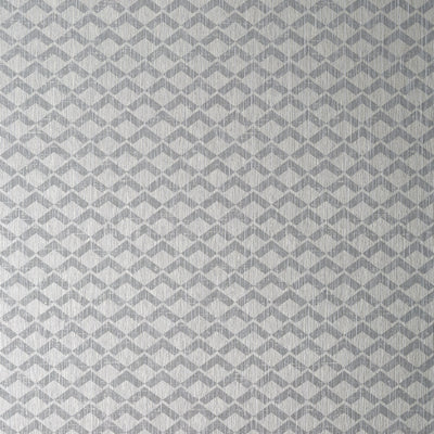 CASHIERS - Grey on Metallic Silver