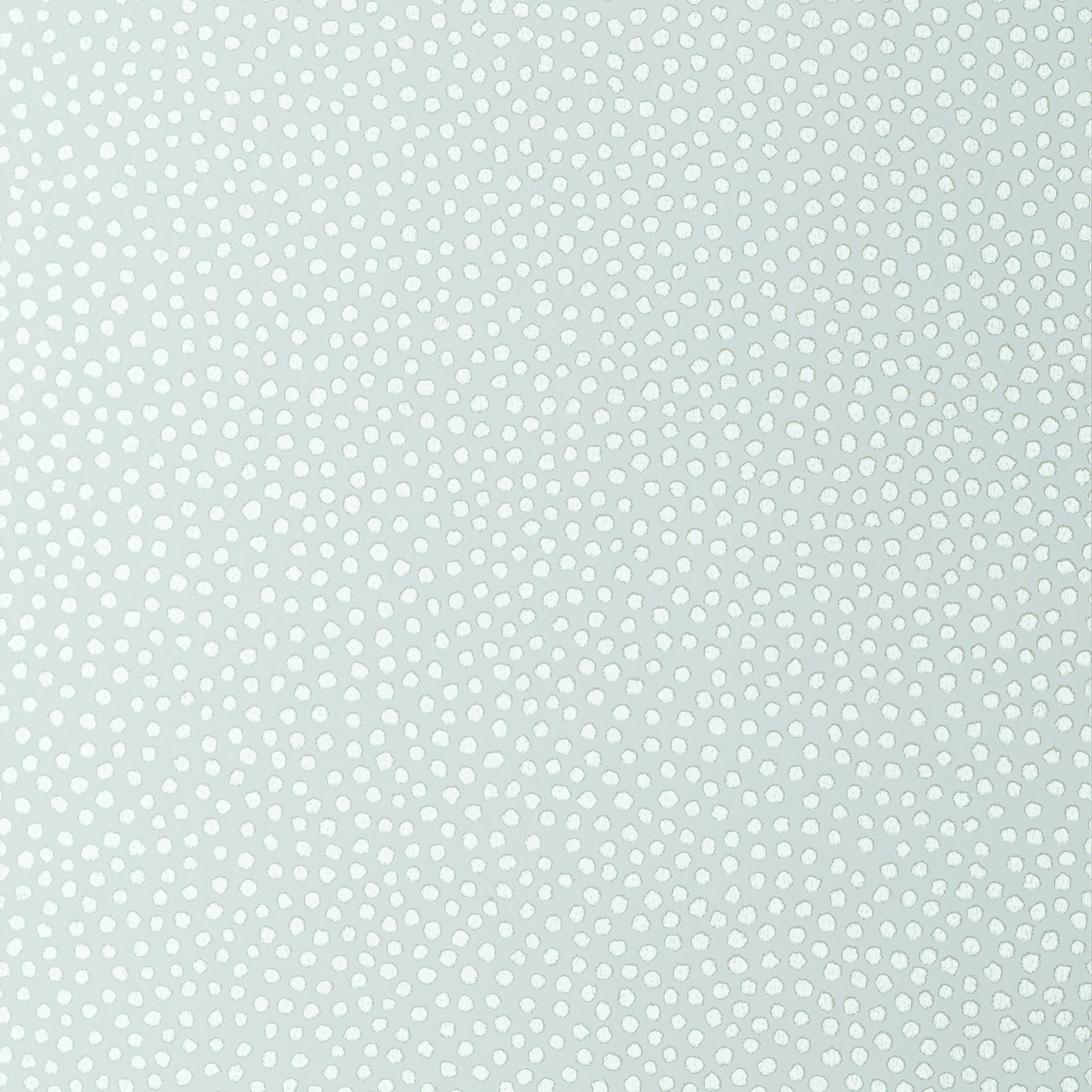 DAVIS DOT - Aqua