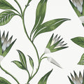 CLEO VINE - Green and White
