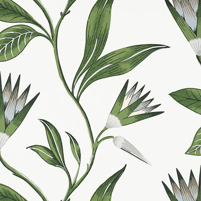 CLEO VINE - Green and White