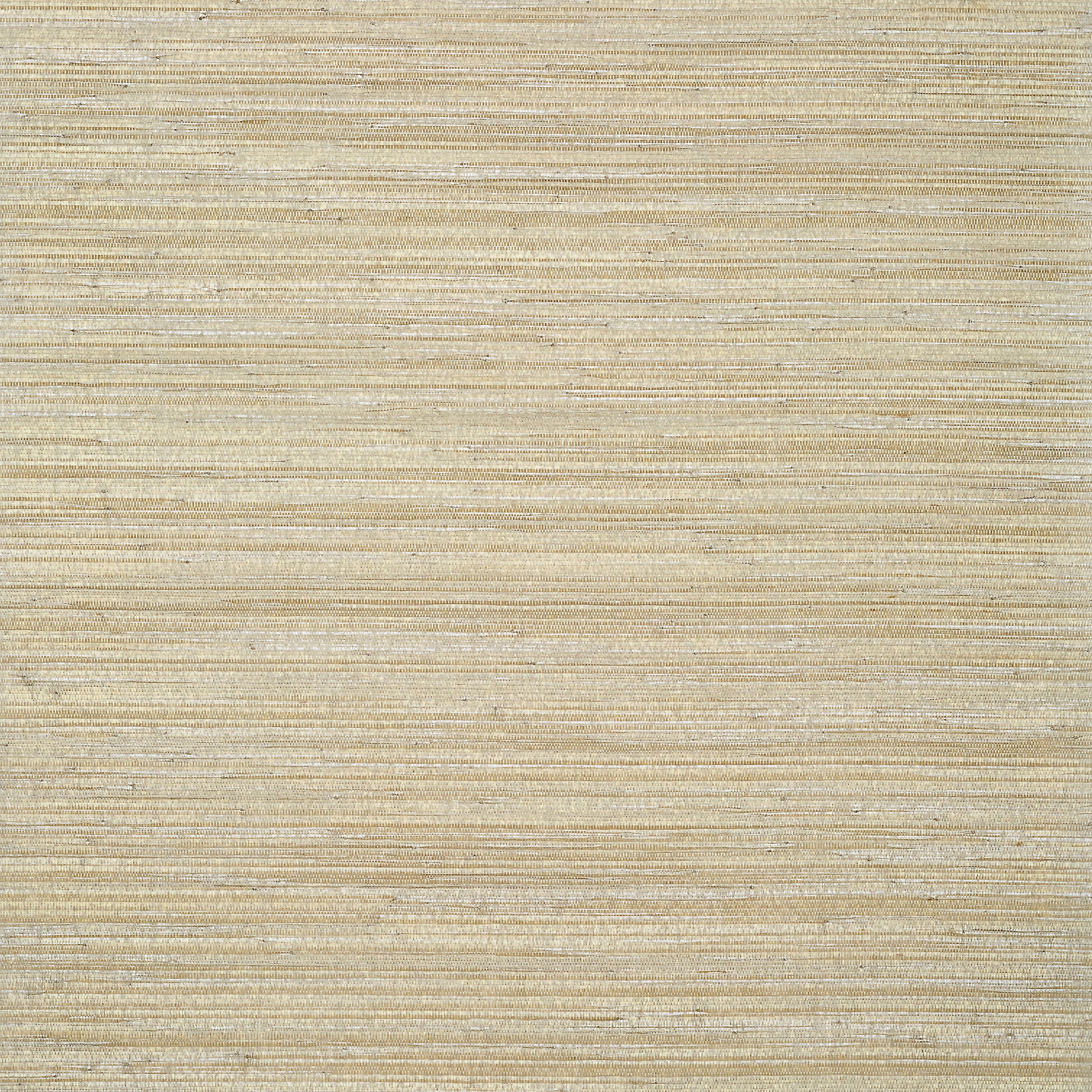 GAYA - Neutral