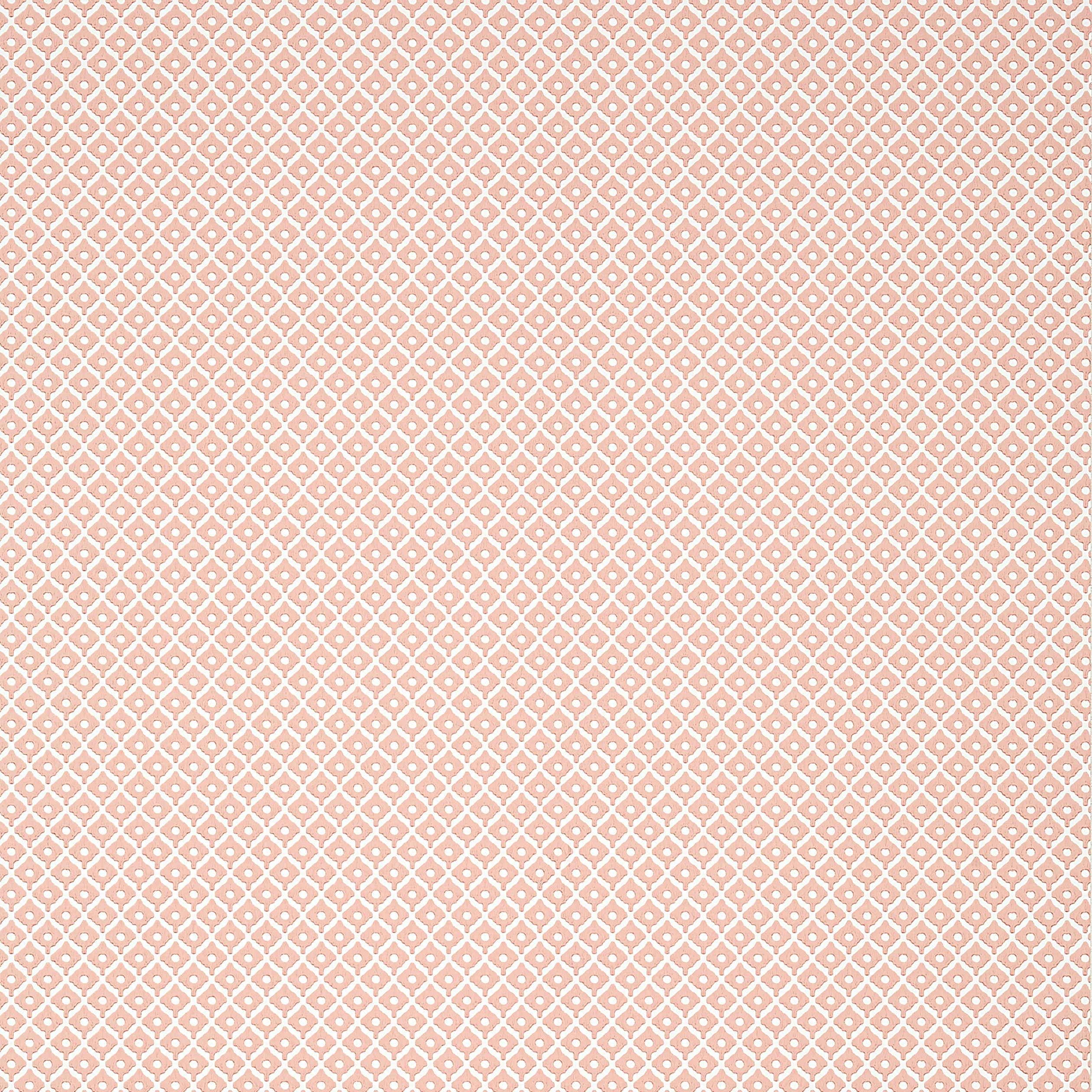 PETIT ARBRE - Blush