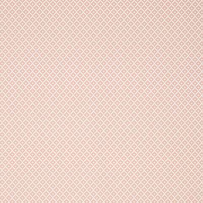 PETIT ARBRE - Blush