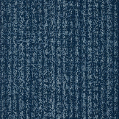 TIPTON - Navy
