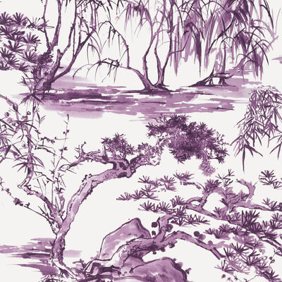 KYOTO - Eggplant