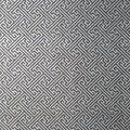 CHARLOTTE RAFFIA - Black and Metallic Silver