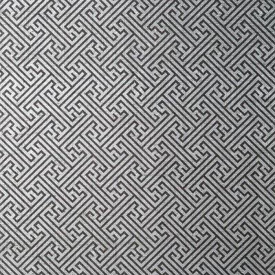 CHARLOTTE RAFFIA - Black and Metallic Silver