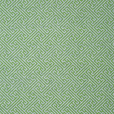 CHARLOTTE RAFFIA - Green and Blue