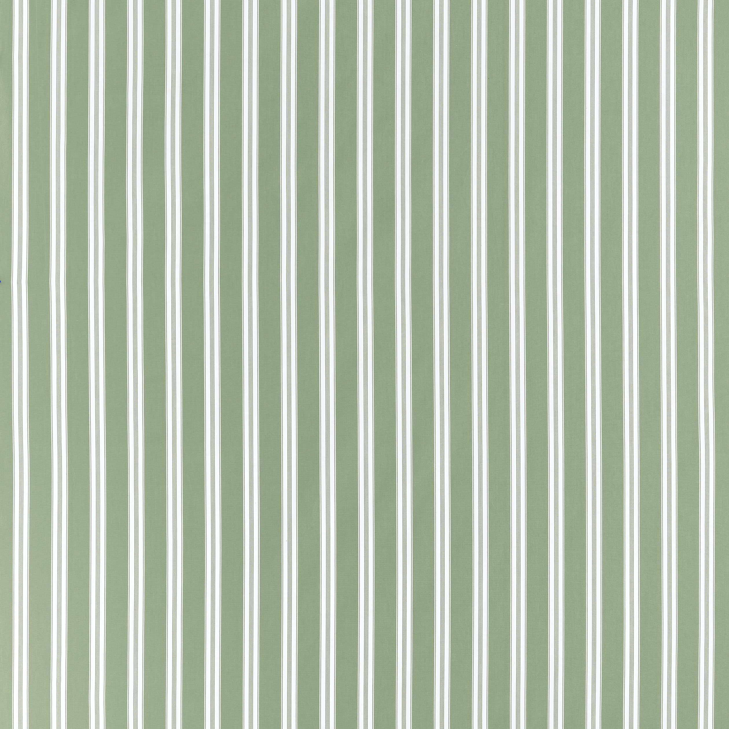 PAYTON STRIPE - Green