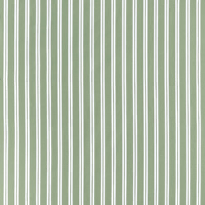 PAYTON STRIPE - Green