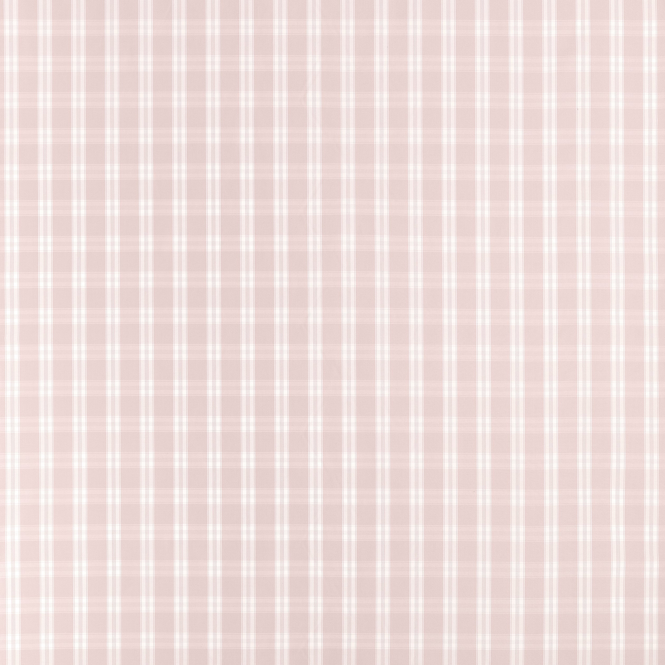 PAYTON CHECK - Blush