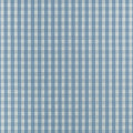 PAYTON CHECK - Blue
