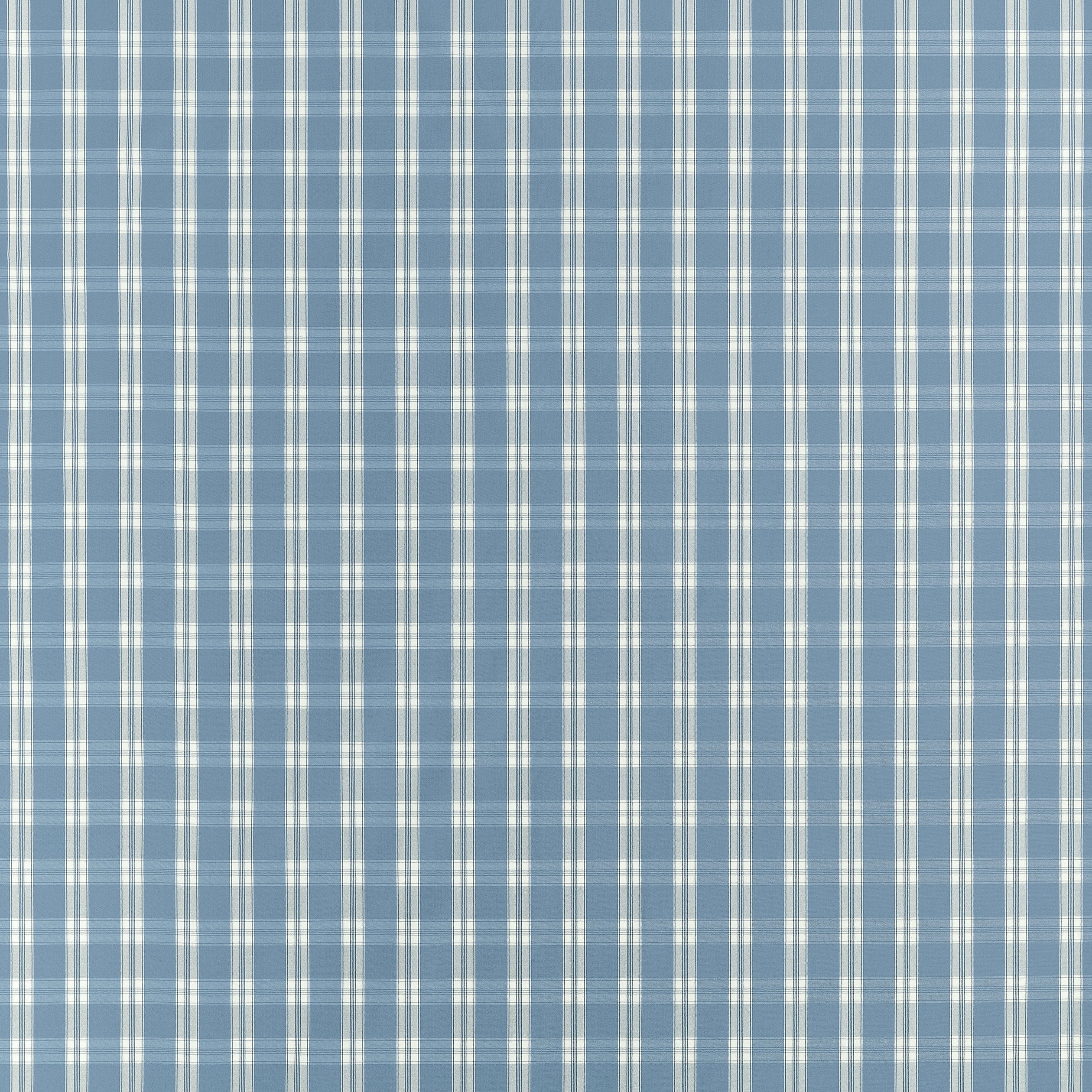 PAYTON CHECK - Blue