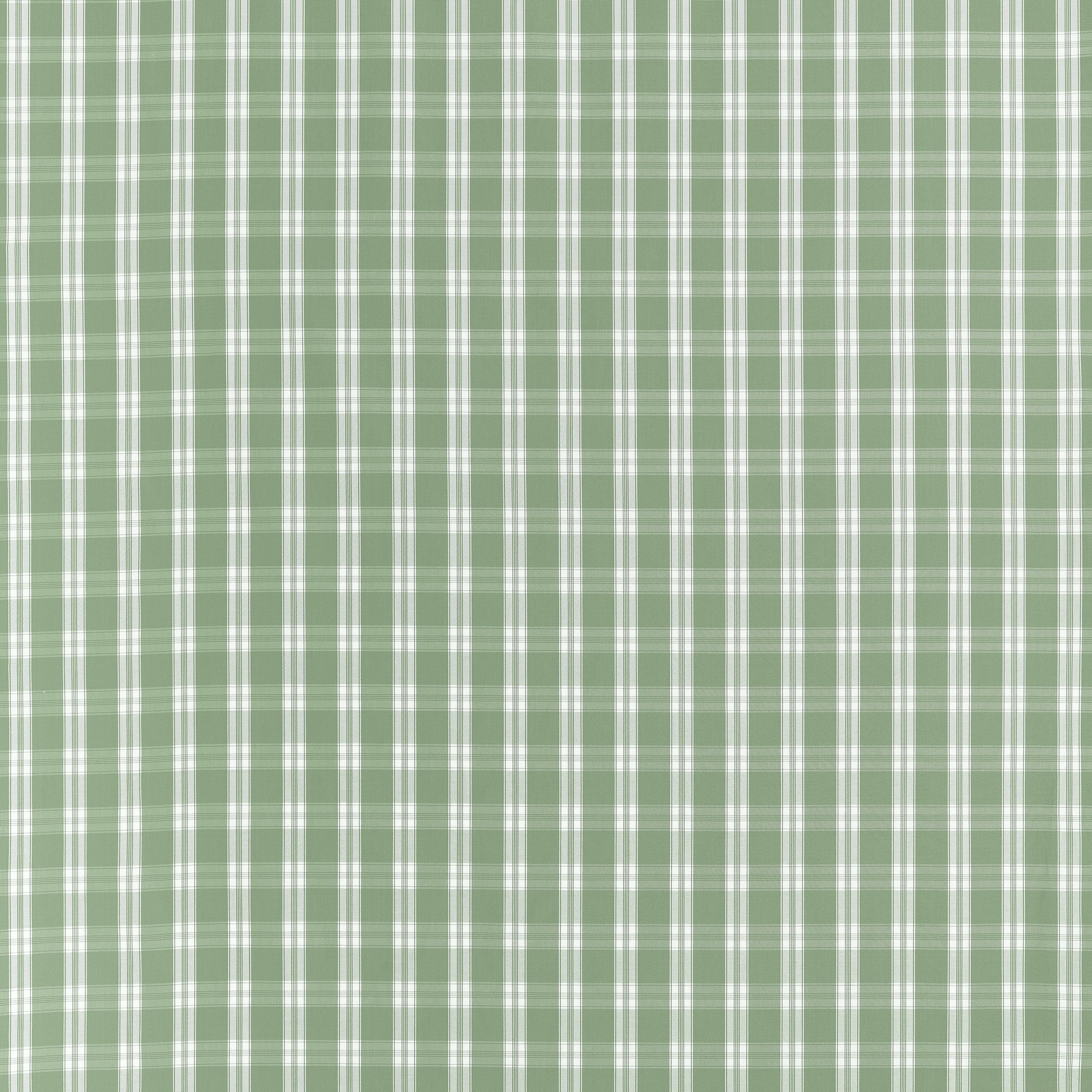 PAYTON CHECK - Green