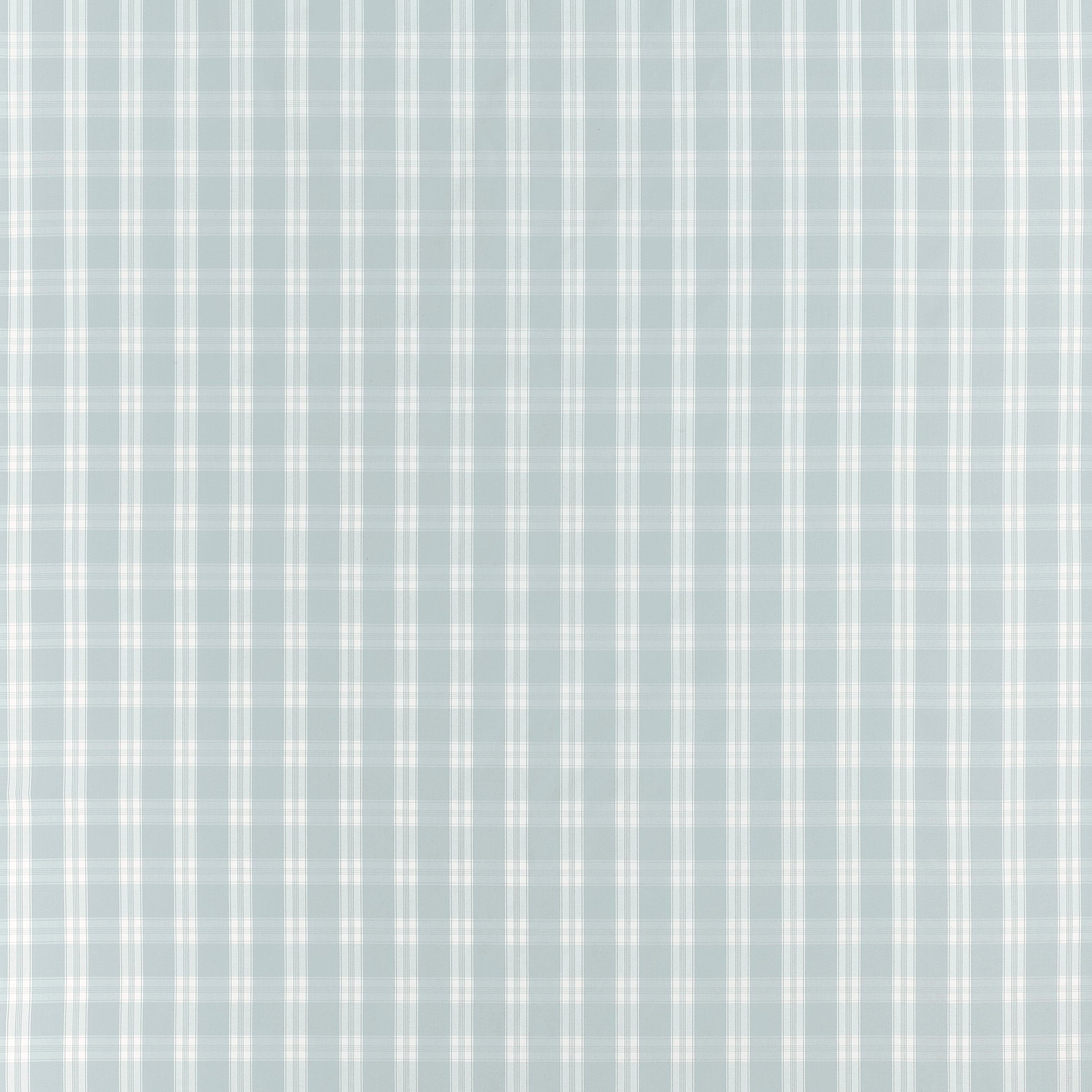 PAYTON CHECK - Spa Blue
