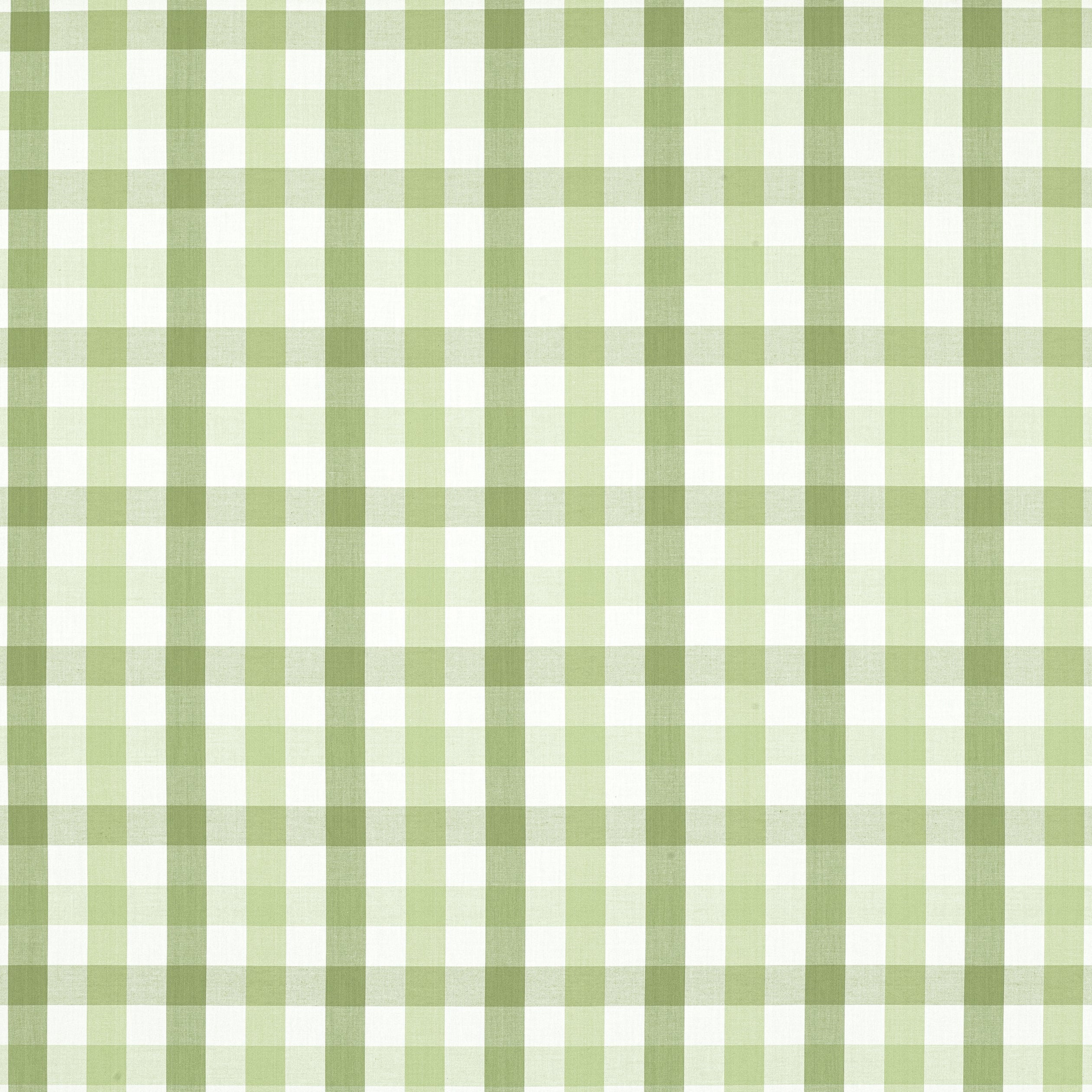 SAYBROOK CHECK - Green