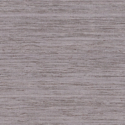 PRADESH - Lavender