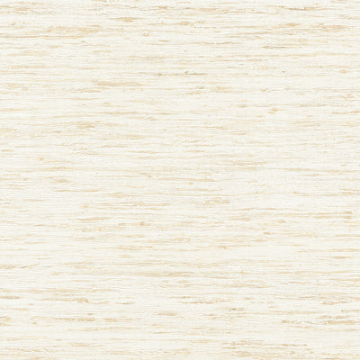 PRADESH - Beige