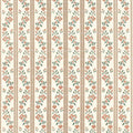 MOSELLE - Apricot