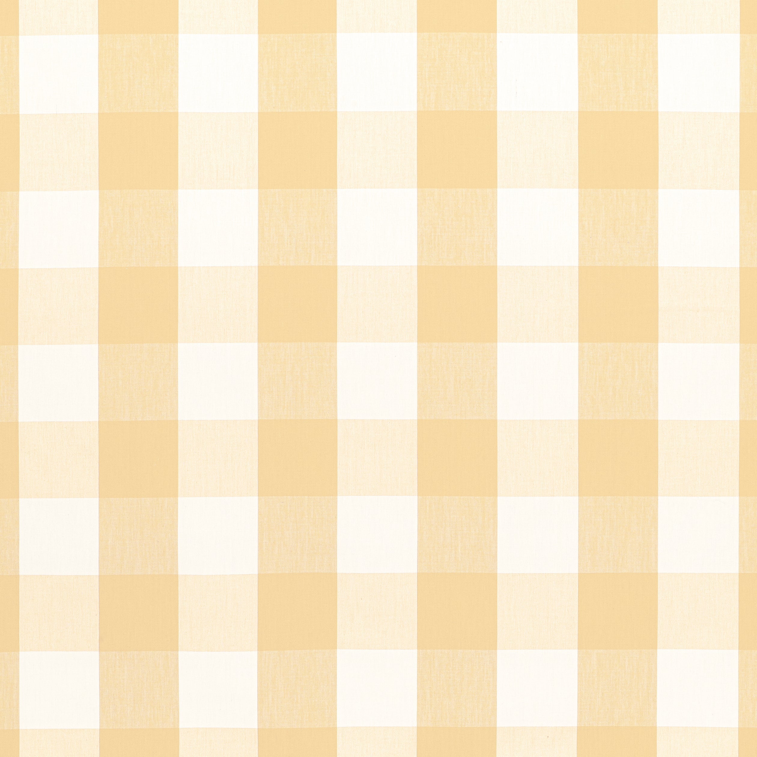 HAMMOND CHECK - Soft Gold