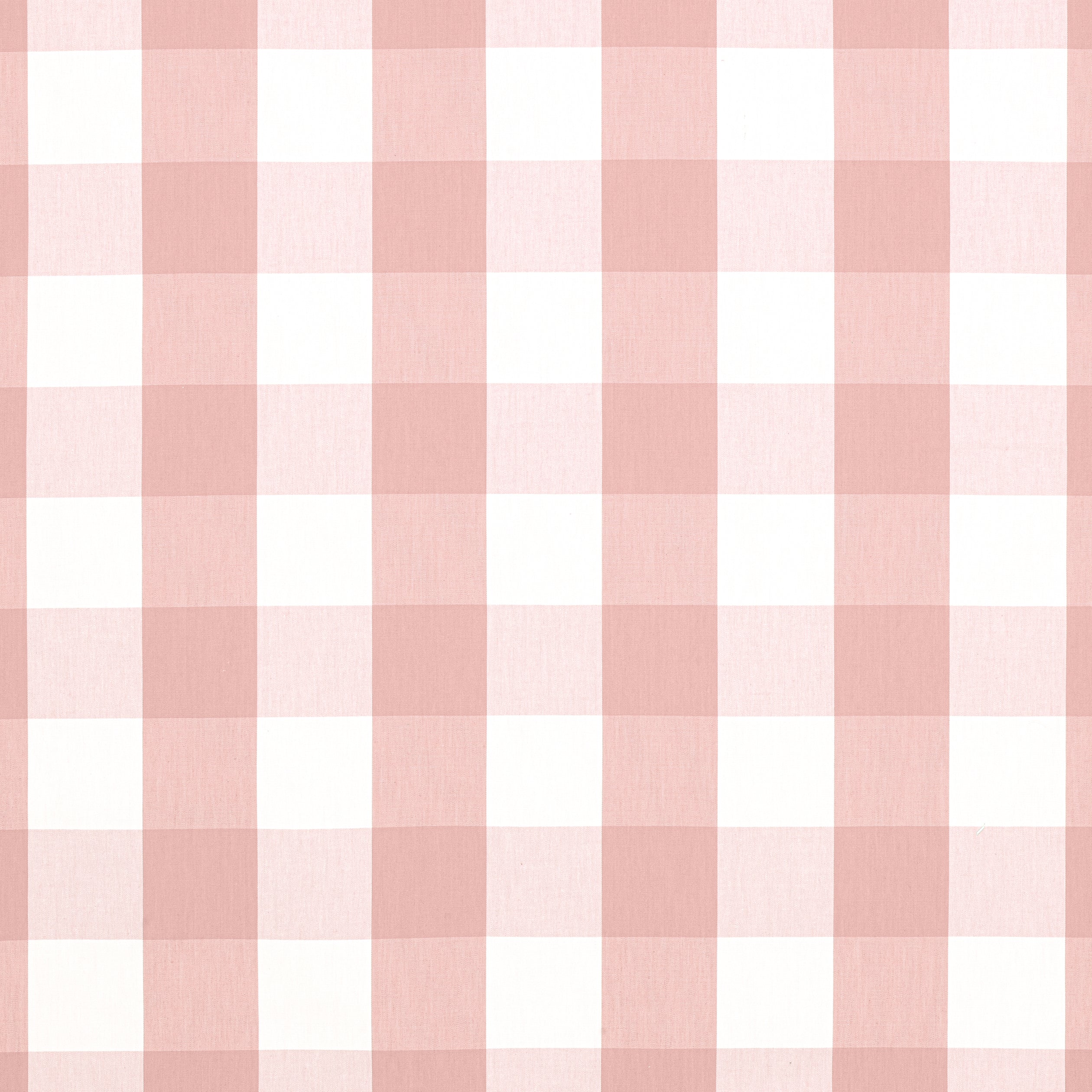 HAMMOND CHECK - Rose