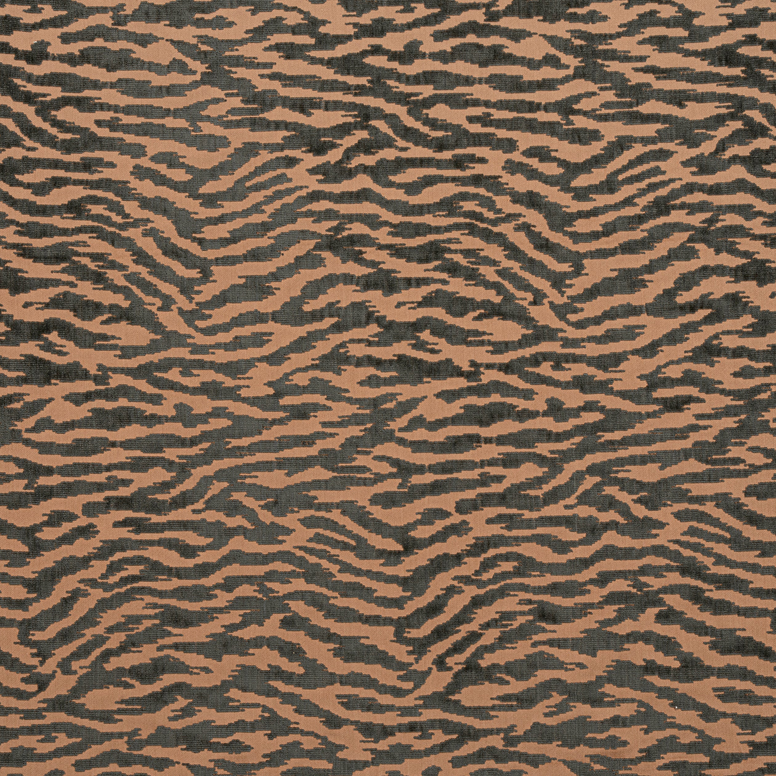 TADOBA VELVET - Charcoal on Caramel