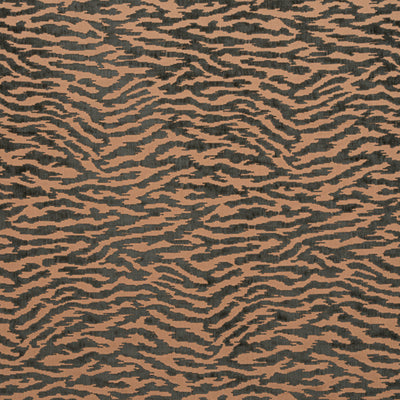 TADOBA VELVET - Charcoal on Caramel