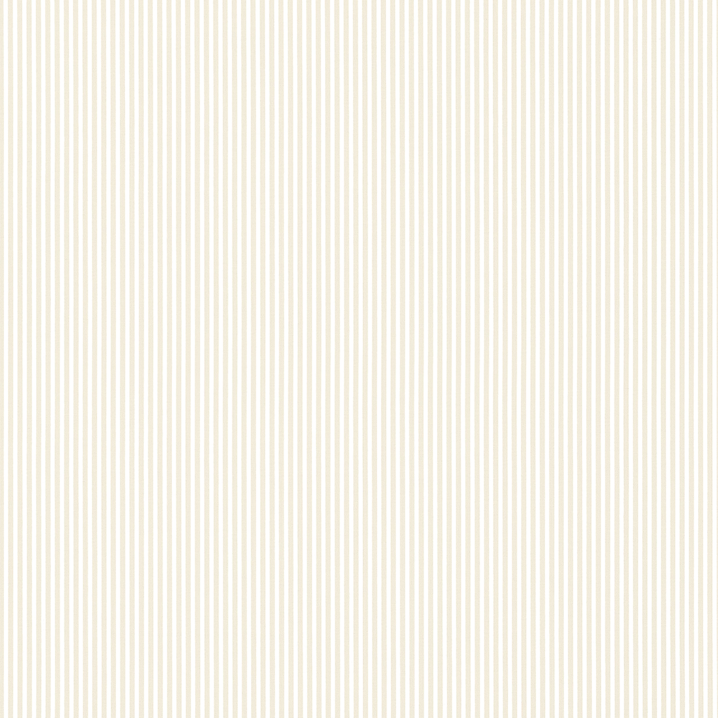 HOLDEN STRIPE - Beige